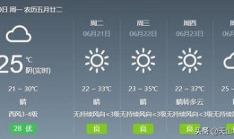 新疆热点爆料新闻最新版,聚焦最新动态，揭秘幕后真相
