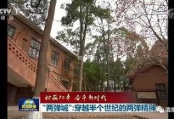 绵阳最新凯厦砍树爆料新闻,真相与争议交织的环保风波