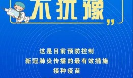开平家长爆料新闻,校园安全事件引发社会关注