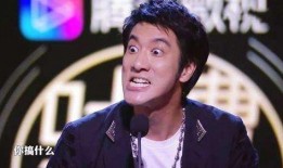 爆料王力宏陶喆视频,揭秘娱乐圈不为人知的幕后故事