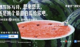 免费吃瓜文案,揭秘娱乐圈幕后故事！