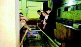 大虾加工爆料视频,揭秘幕后爆料视频背后的真相