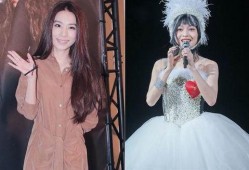 田馥甄罗志祥最新爆料,娱乐圈风云再起，真相揭秘！