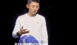李微敖爆料张继科事件视频,真相背后引人深思