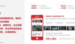 沧州头条今日爆料视频,今日爆料视频背后的惊人真相