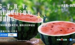 免费吃瓜文案,揭秘娱乐圈幕后故事！