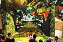 新西兰奇妙庄园爆料视频,梦幻田园生活全景展现