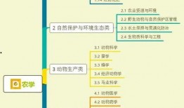 愉悦助理爆料视频大全集,揭秘娱乐圈幕后故事