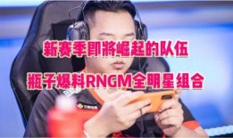 荣耀全明星爆料最新视频,揭秘神秘新机与独家彩蛋！