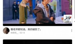愉悦助理爆料视频大全集,揭秘娱乐圈幕后故事