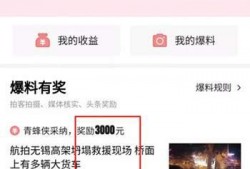 沧州头条今日爆料视频,今日爆料视频背后的惊人真相