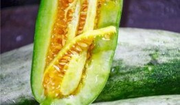网红胶带吃瓜,揭秘网络红人的神秘生活