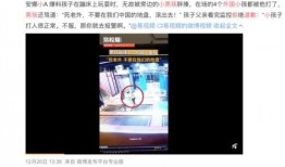 北溪瑞士爆料事件视频,揭秘神秘视频背后的真相与疑云
