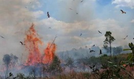火鹰最新爆料视频,揭秘神秘项目，科技革新再掀热潮