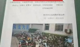 林州爆料新闻事件,揭开事件背后惊人真相