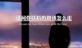 情感语录爆料视频大全下载,触动心弦的瞬间回顾
