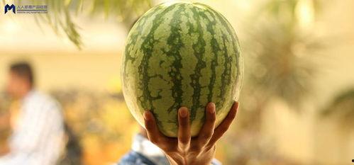 在哪里可以吃娱乐圈的瓜,揭秘各大热门餐厅的独家瓜料