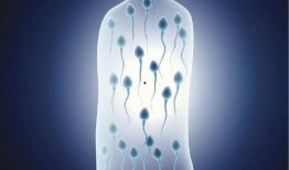 爱的囚牢在线观看,情感束缚下的爱恨纠葛