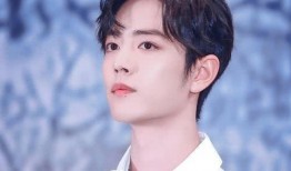 肖战圈内爆料近期新闻视频,揭秘近期热门新闻背后的真相