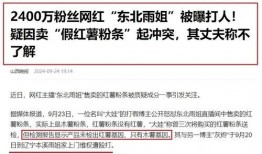 东北雨姐直播爆料视频大全,揭秘视频大全背后的精彩瞬间