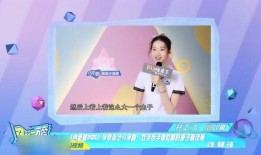 张艺凡爆料视频大全最新,揭秘娱乐圈幕后真相