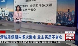 南京买房新闻爆料最新,最新爆料揭示热门板块购房趋势