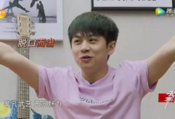 陈翔爆料武艺高手视频在线观看,武艺高手视频在线观看，精彩绝伦的武术对决