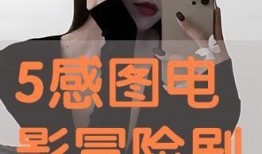 5感图电影在线观看,探索5感图电影在线观看之旅