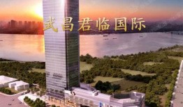 武昌特尼特最新爆料,最新爆料背后的惊人真相