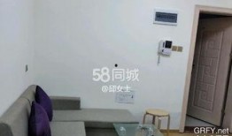 沙井租房爆料事件最新情况,最新进展揭秘，真相大白！