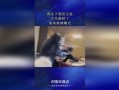 最新羊毛爆料视频播放网站,最新爆料带你畅游羊毛世界