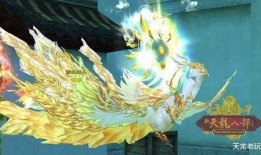 九尾最新爆料视频大全,揭秘幕后真相与精彩瞬间