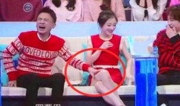 娱乐圈综艺节目吃瓜小说