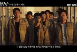 不汗党韩剧在线观看,韩剧在线观看，揭秘神秘组织背后的惊心动魄
