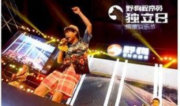 唐三酒吧歌手爆料视频,揭秘幕后故事与精彩瞬间