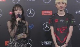 doinb新闻爆料,揭秘电竞圈幕后故事