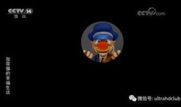 央视14套在线直播观看,实时捕捉社会热点与文化盛宴