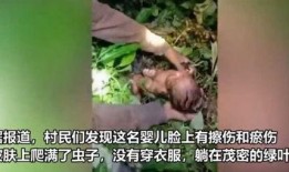 树婴 在线观看,穿越时空的奇幻之旅在线观看指南