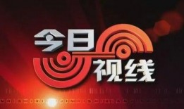 今日视线如何爆料,揭秘事件背后真相