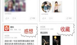 爆料新闻去哪里找,最新爆料新闻背后的真相与影响