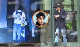 娄艺潇最新爆料,娱乐圈背后的惊人真相