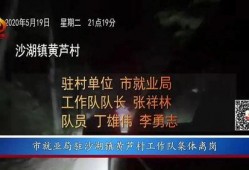 彩访广州爆料视频大全,揭秘城市生活百态