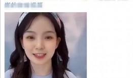 张艺凡爆料视频大全最新,揭秘娱乐圈幕后真相