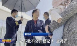 大理记者爆料视频大全集,揭秘事件真相，记录社会百态