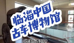 今日淄博头条淄博爆料视频,揭秘淄博爆料视频背后的热点事件