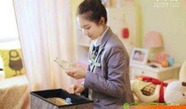 秘果在线观看24,揭秘青春校园的禁忌之恋