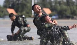 中国特种兵爆料视频播放,实战训练与使命担当