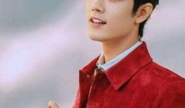 肖战圈内爆料近期新闻视频,揭秘近期热门新闻背后的真相