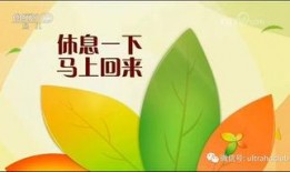 央视14套在线直播观看,实时捕捉社会热点与文化盛宴