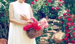 花店老板娘最新爆料新闻